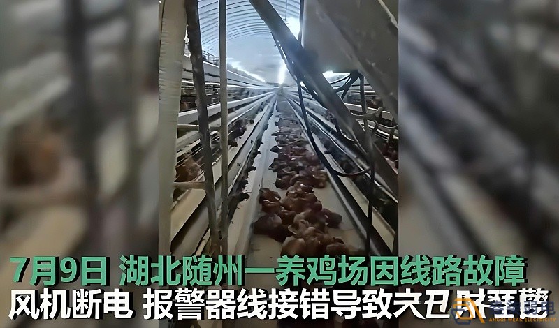 養雞場為什么要24h監測溫濕度斷電報警器？